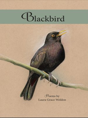 cover image of Blackbird